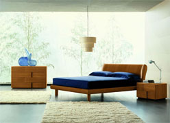 ������� Trendy ������